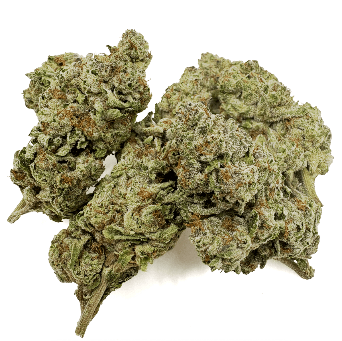 BackWoodz Black Maple THCA Flower