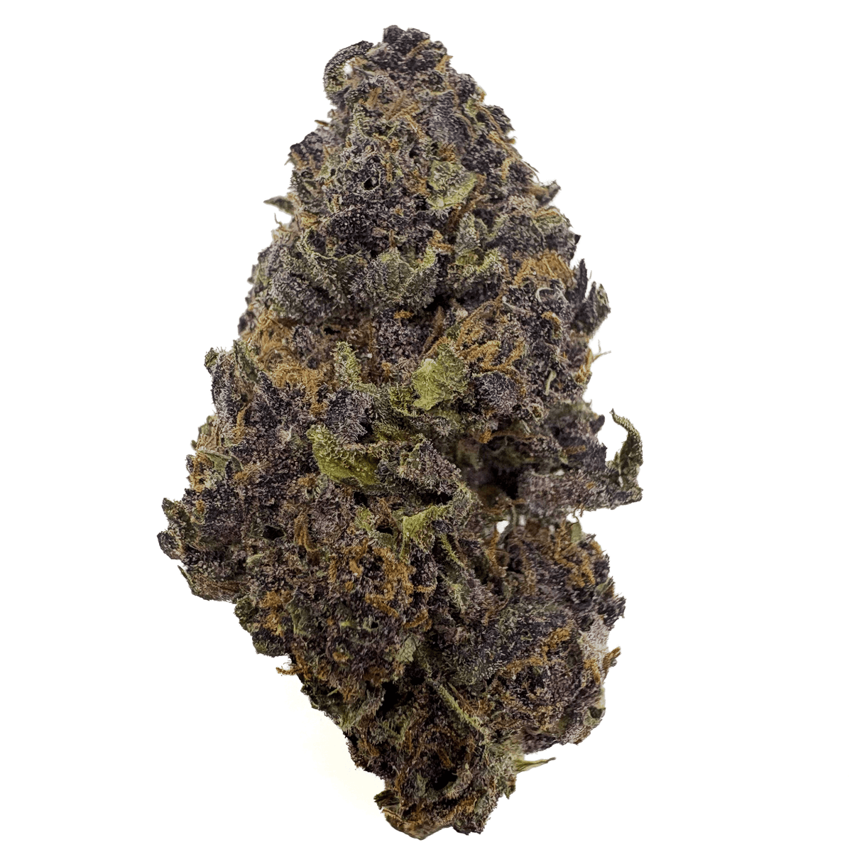 Gorilla Skunk THCA Flower Bud