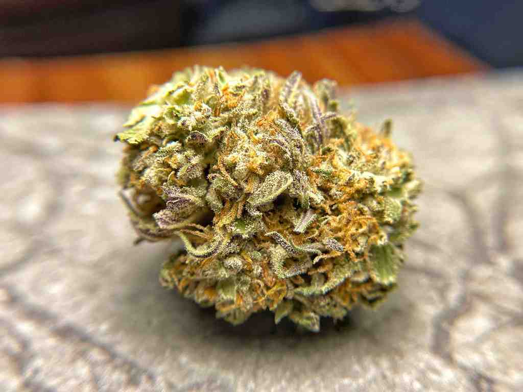 Machine Trimmed CBD Flower - BackWoodz CBD