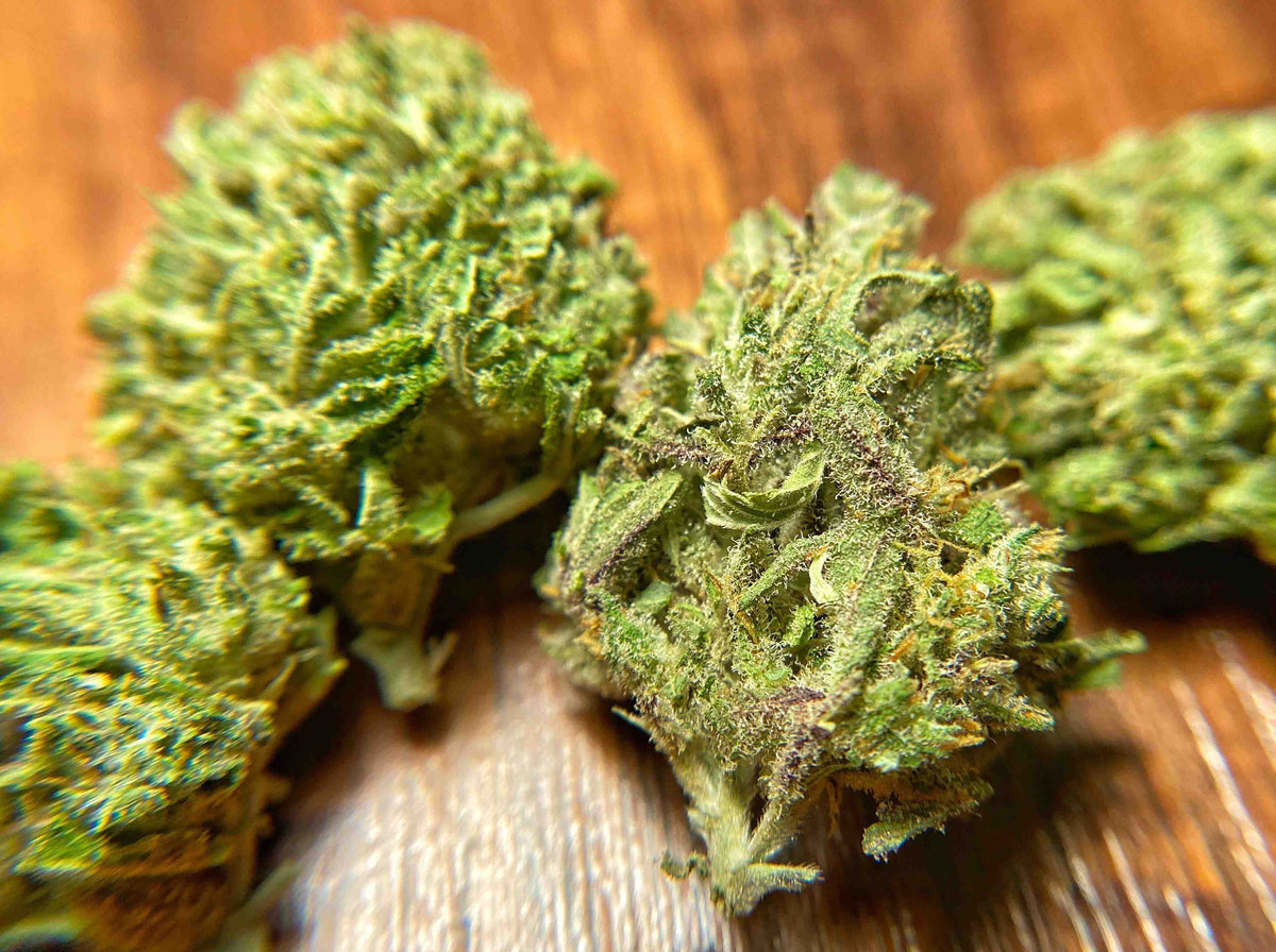 Box of Riches CBG -CBD Hydro hemp - BackWoodz CBD