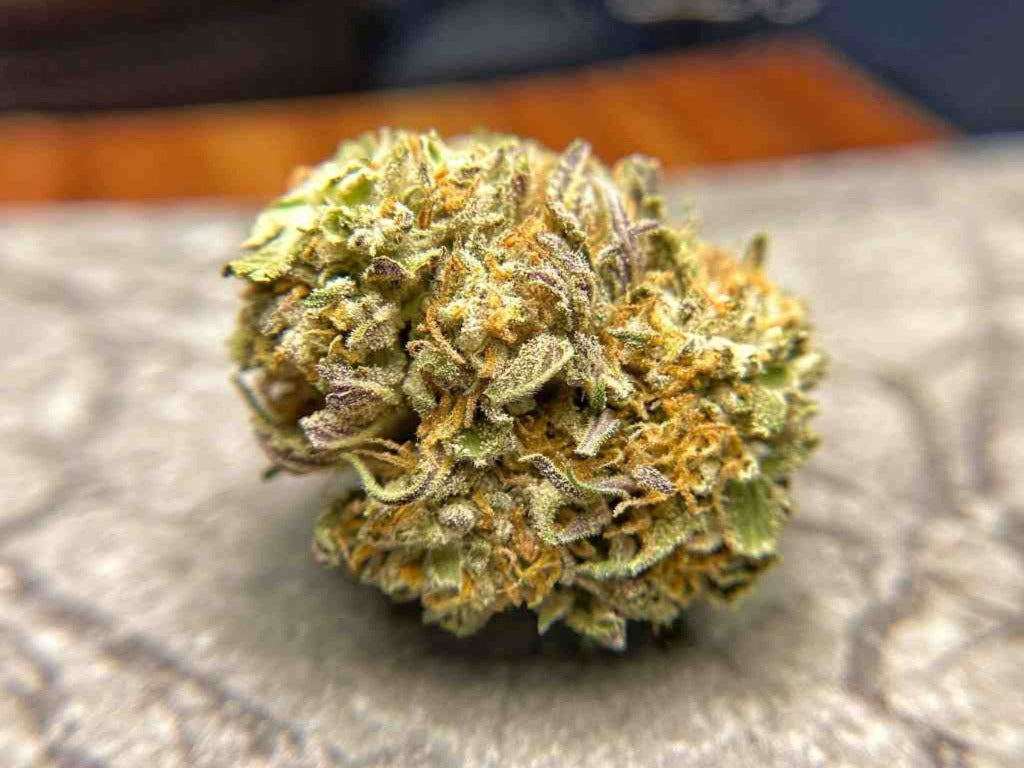 Machine Trimmed CBD Flower - BackWoodz CBD