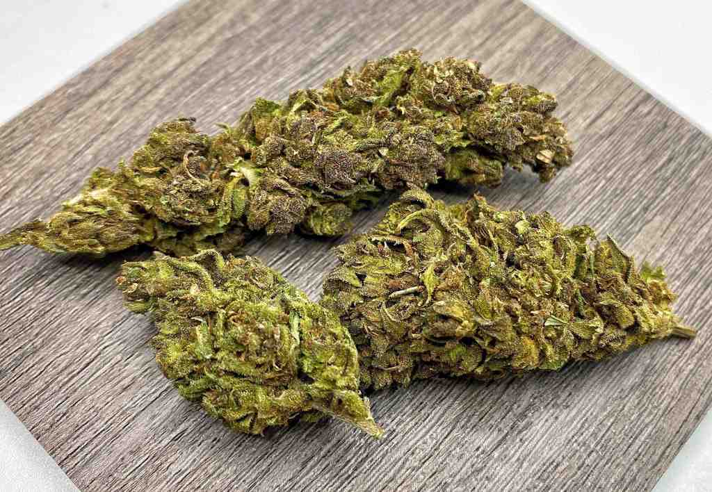 Abacus #5 Hemp Flower - BackWoodz CBD