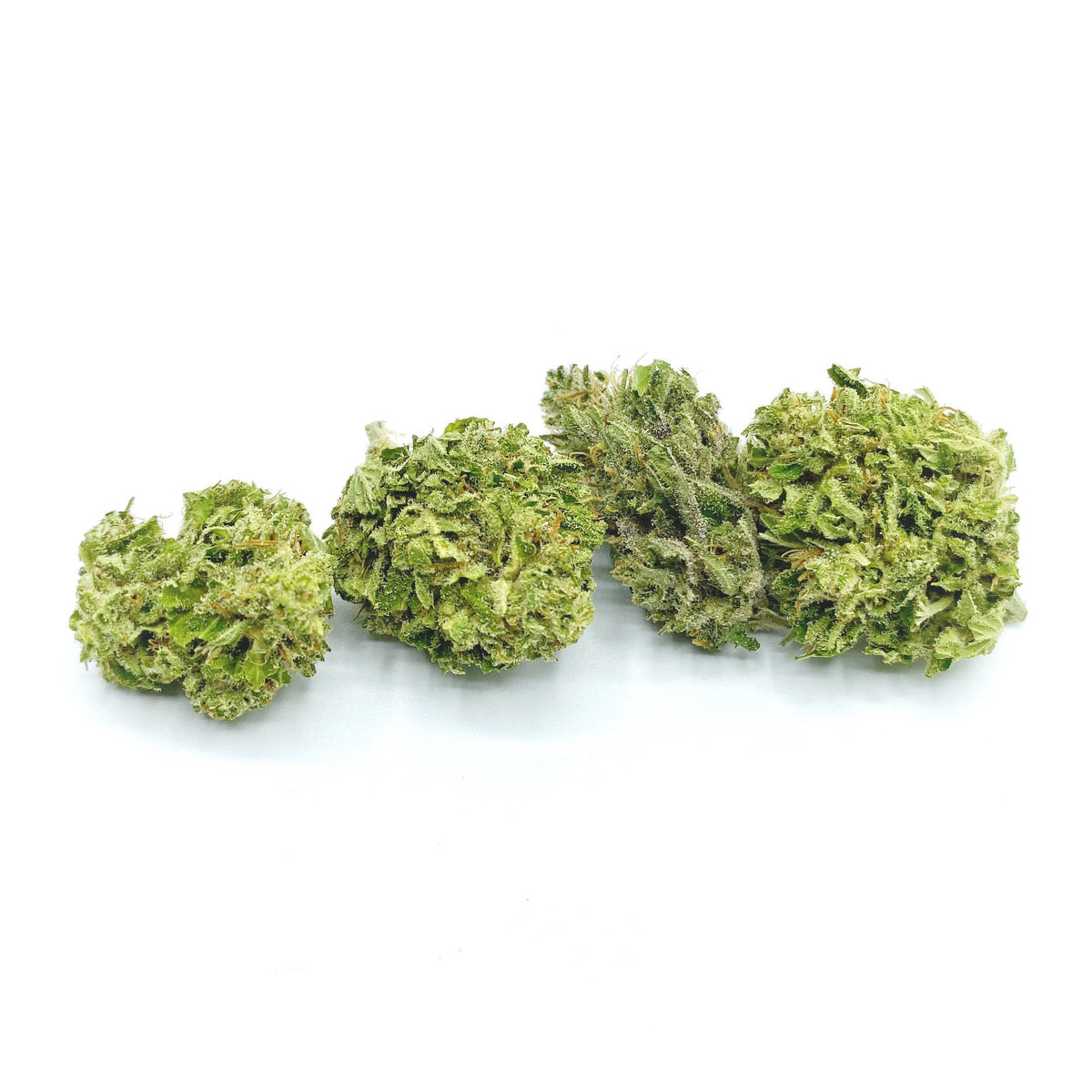 Hydroponic Smalls