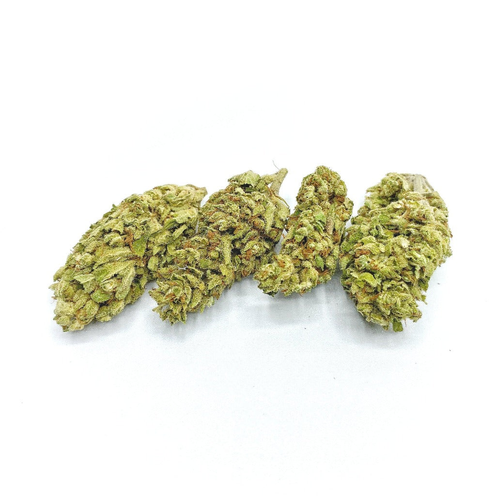 Greenhouse Suver Haze CBD Flower - BackWoodz CBD 
