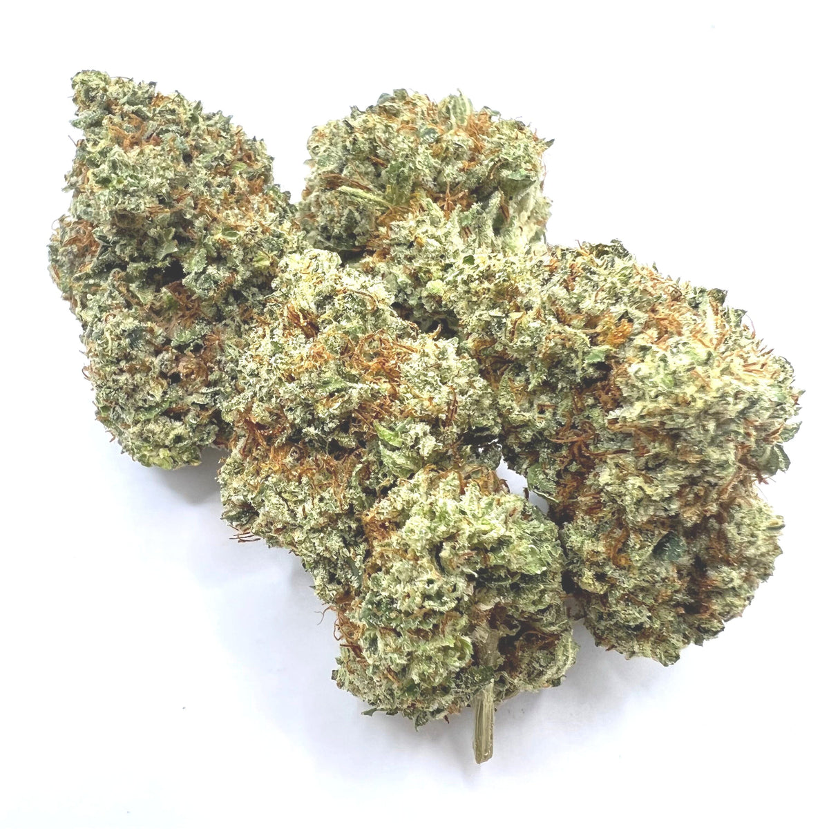 Gary Poppins (THC-A)