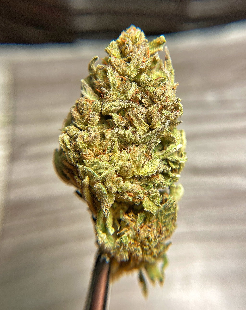 Premium Hemp CBD Flower - BackWoodz CBD